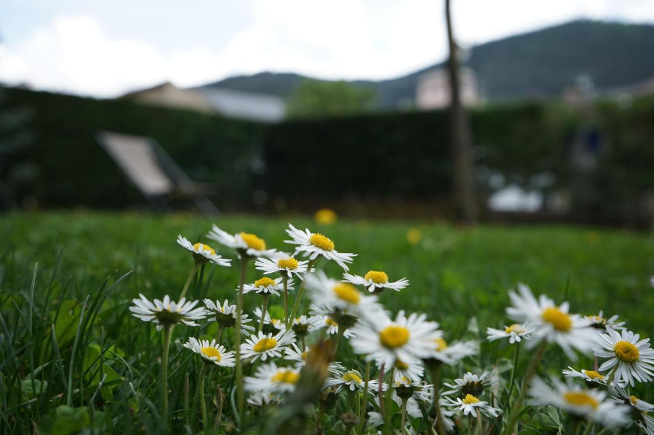 Apartamento con jardín en Cerdanya Err Exterior foto